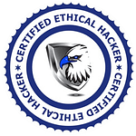 Insta Dot Analytics 12 certified